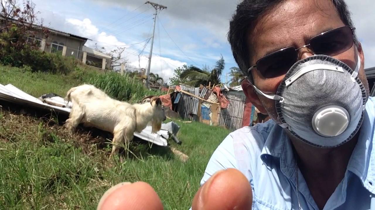 animal welfare act pdf Estancia oil spill: helping animals left behind