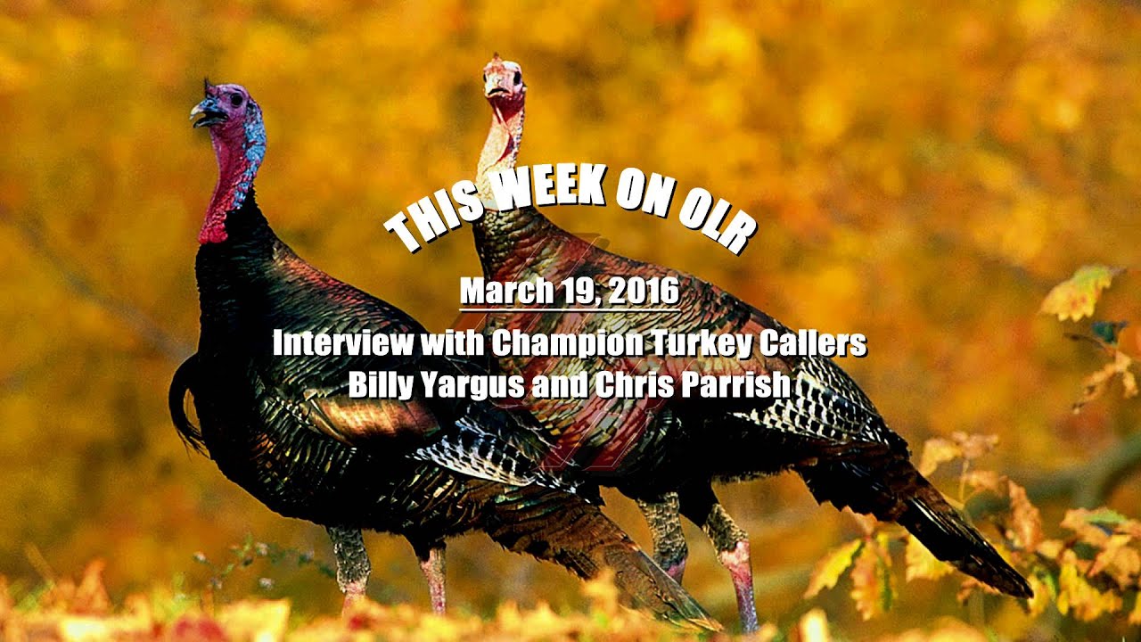 Interview with Champion Turkey Callers Billy Yargus and Chris Parrish