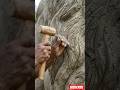 lion #amazing #prabhas #stoneart #artwork #shorts #foryou #trending #viral #ytshorts #shortsfeed #xo