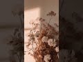 أنشودة قلبي الذي أودعته نبض الهوى أنشودة قلبي الذي أودعته نبض الهوى
