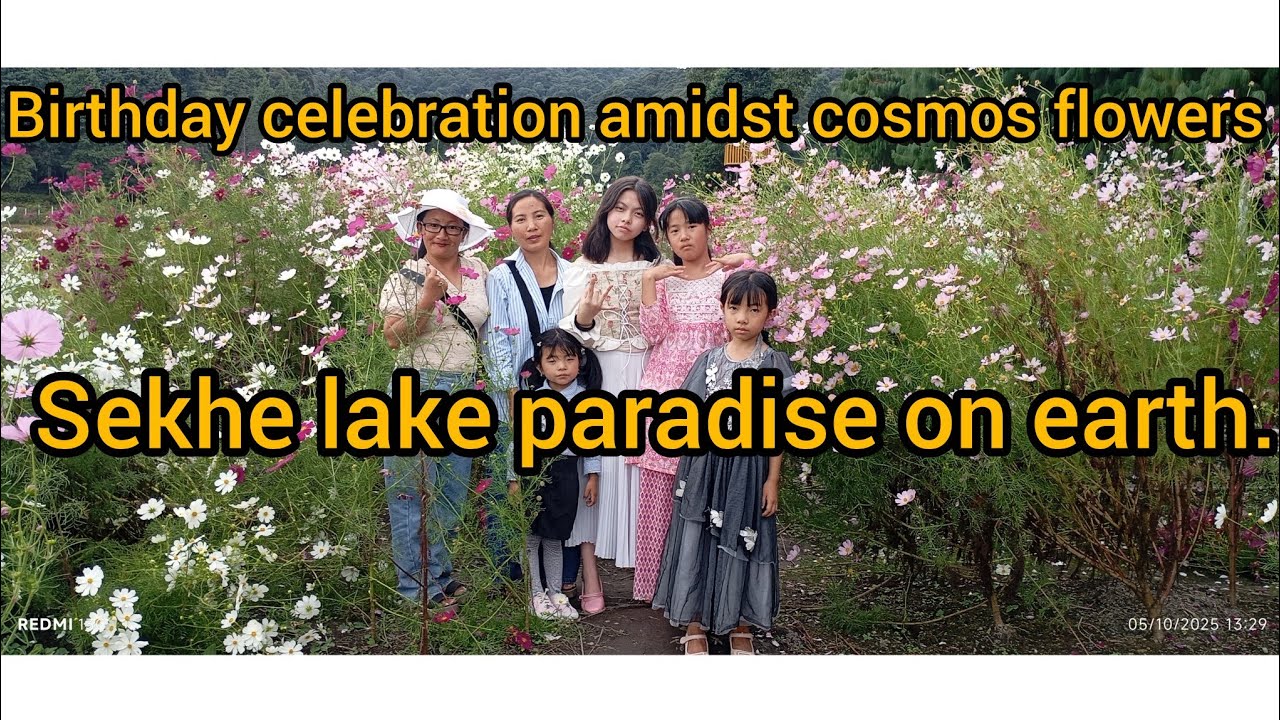 Birthday celebration amidst cosmos flowers🎉🎊🌸.||sekhe lake is a paradise on earth✨ .||