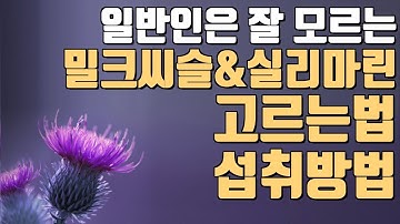 밀크씨슬(실리마린) 어떤제품 사서 어떻게 먹으면 되나요?