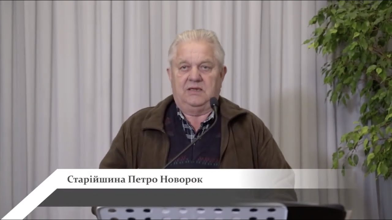 Новорок богдан васильевич екатеринбург