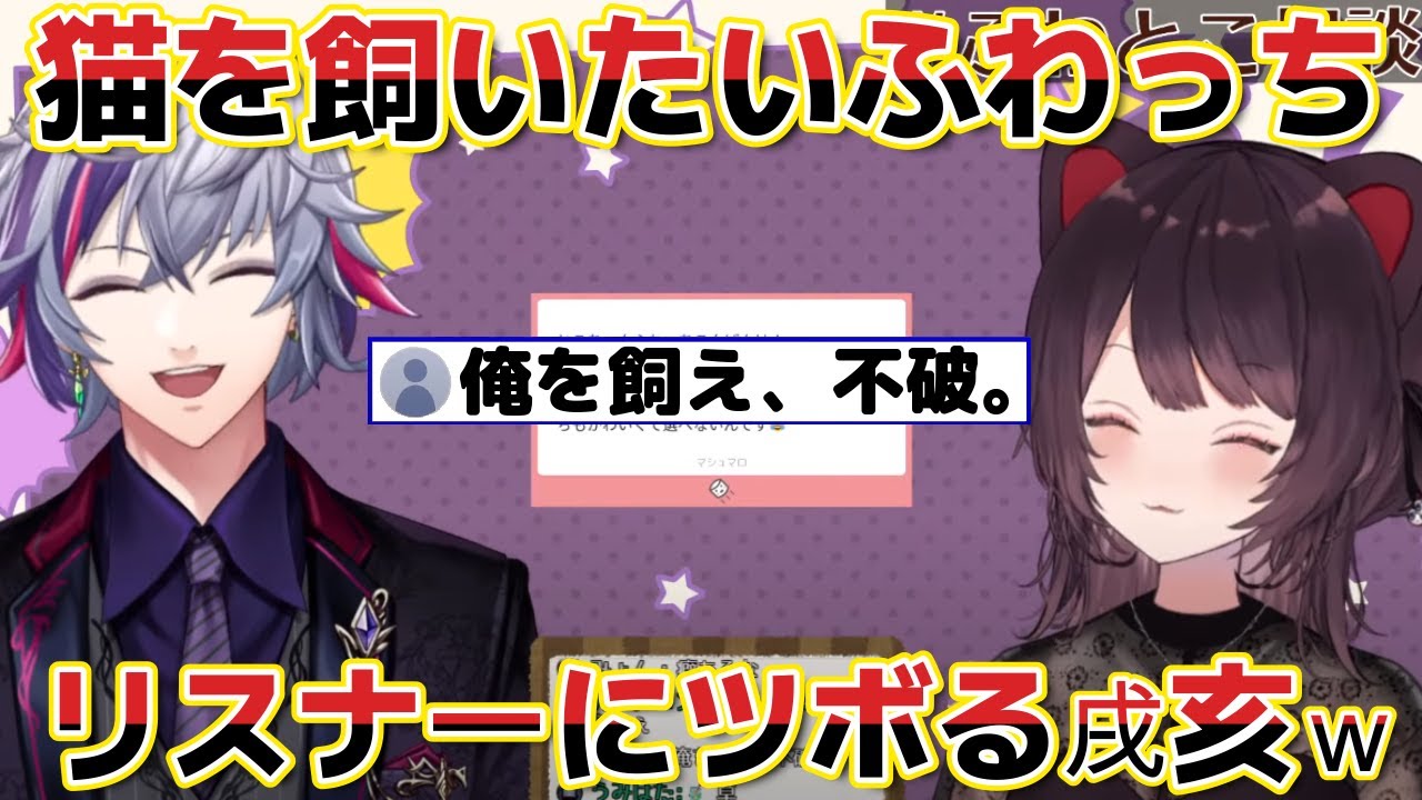 【ふわとこ相談室】猫を飼いたいふわっちに対するリスナーの回答に爆笑する戌亥ｗ【 にじさんじ 切り抜き 戌亥とこ/不破湊】
