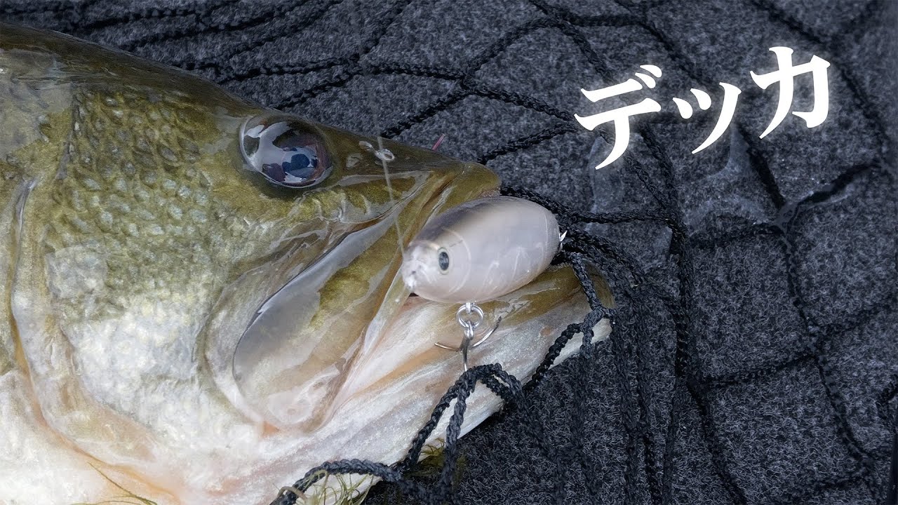 ☆週末セール中！和竿　① Things like this happen!! - YouTube