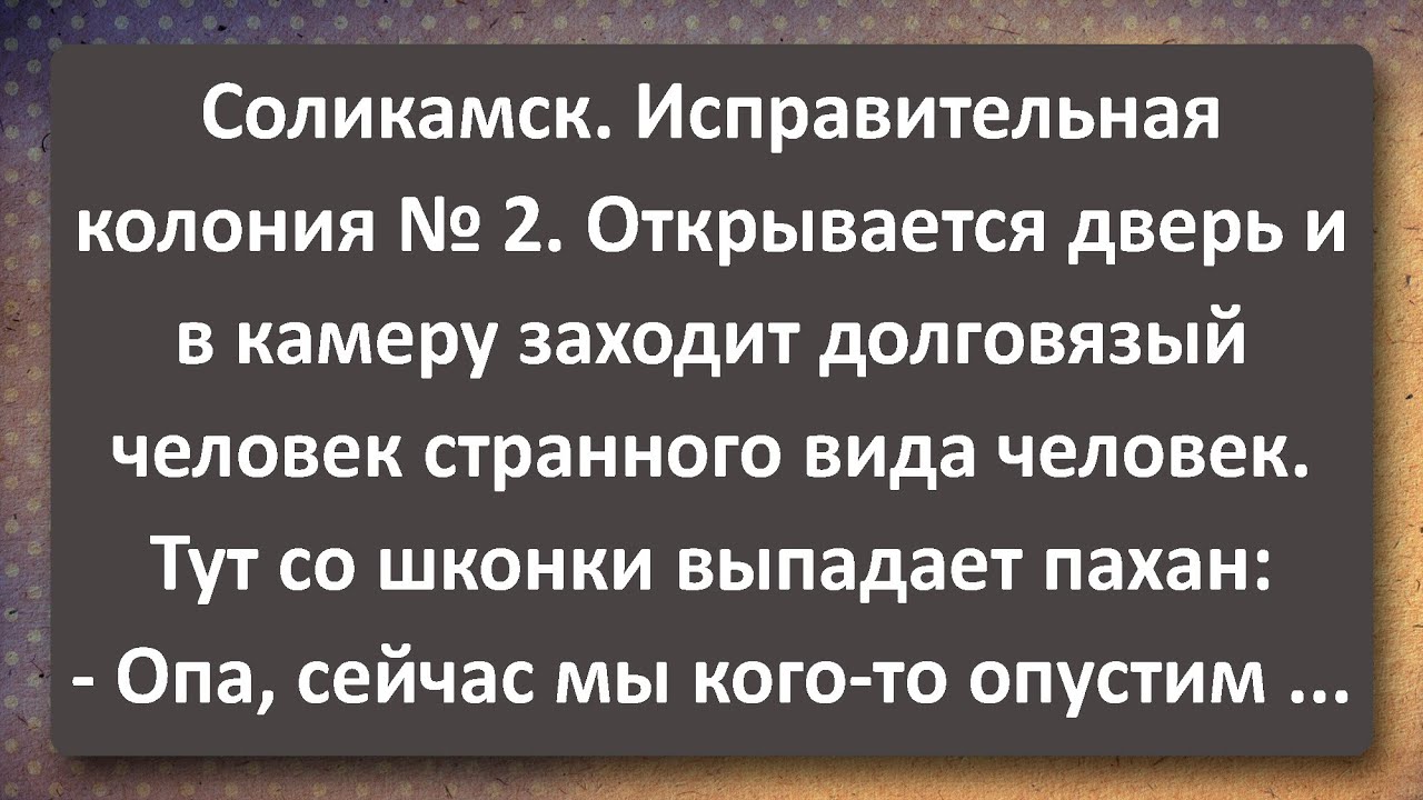 Извещение мореплавателям 2025