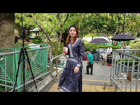 屯門公園 2019年5月10日 雪梨 藕斷絲連