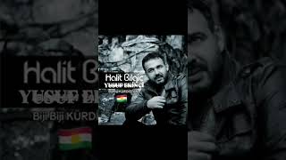 Halit Bilgiç Bir Bilsen Biji Biji Kurdistan Resimi