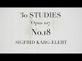 30 STUDIES Opus 107 FOR FLUTE No 18 KARG ELERT mp3