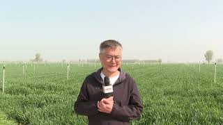 12551H7120 AS5 Ku 20260405 080120 CFA71A903CAC270F