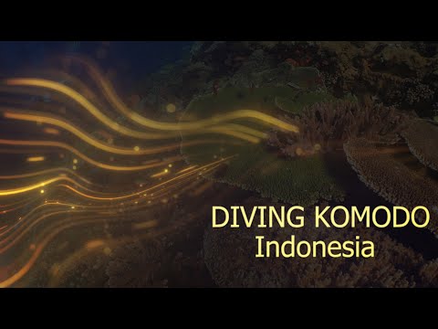 Diving Komodo