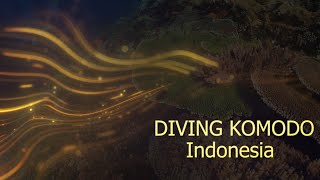 Diving Komodo