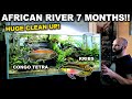 7 Month Old African River Aquarium (Transformation Required!)