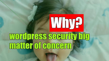 Vulnerability in WordPress BackupBuddy Plugin Exploited By Hackers