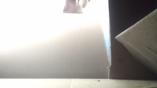 Irmãos Cimino Apresentãovida De Mãe.