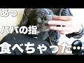 近所でぶらり、愛犬とのひと時