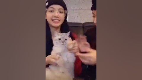 lisa and jisoo playing her cat Lego ❤️ whatsapp status #lego #lisa #jisoo #lalisa #blink #blackpink