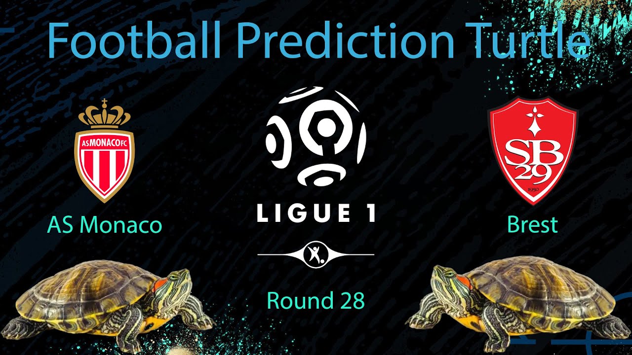 AS Monaco vs Brest ⚽ Ligue 1 2024/2025🐢World Football Prediction Turtle