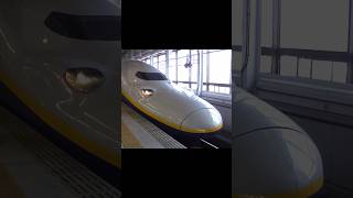 E4系の2階建て車内（2010年 Maxやまびこ）
