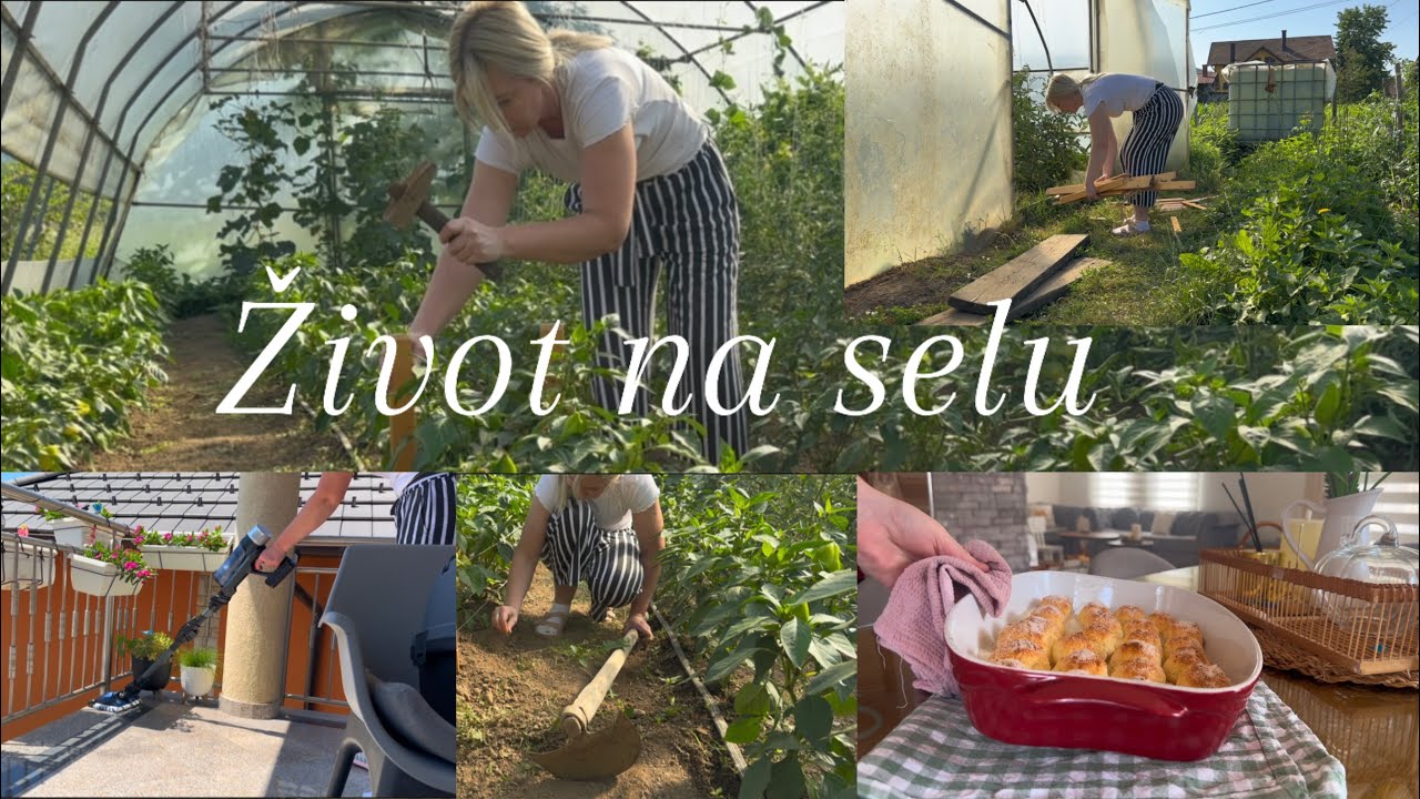 PRIPREMA SEOSKOG DORUČKA I RUČKA🌿Sve realnosti jedne mame🫣🌿KOKOS HURMASICA🌿Rutina prije podne