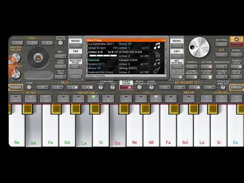 Cheb Bedrou راني متوشي حدي Rai Raistar Music Instru 2025