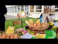 Visite du campus agro-environnemtal d'Arras