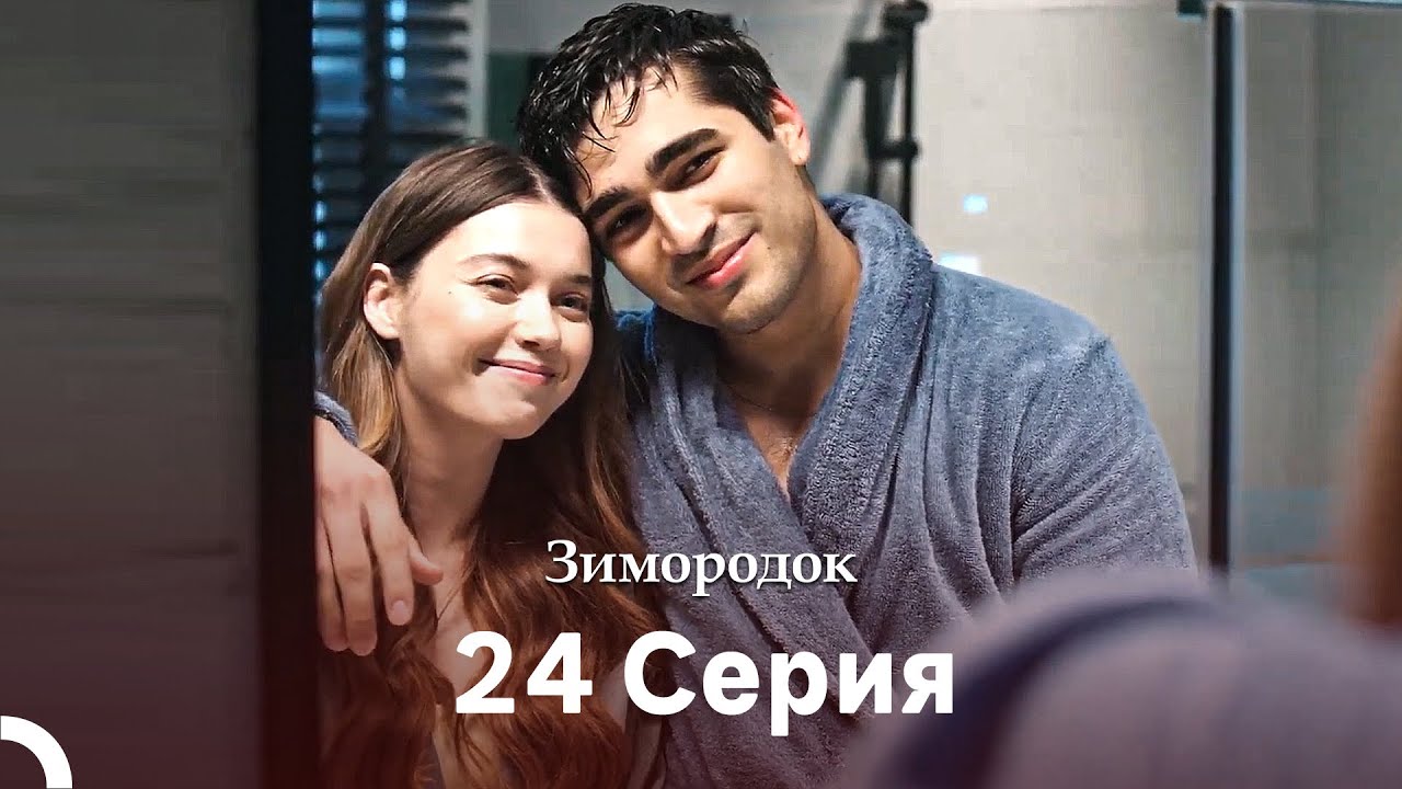 Зимородок 24 Cерия (Русский дубляж)(Длинная Bерсия)