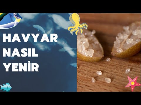 Video: Kırmızı Havyar Nasıl Yenir