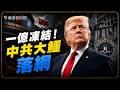 賺了一億卻永遠困在中國！美國司法部給中共權貴設了一個完美金融陷阱｜薇羽看世間 20260706