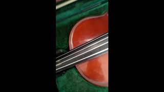 AKAD - PAYUNG TEDUH (Violin Cover)