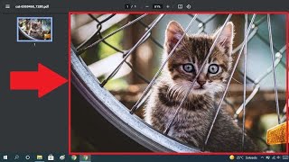 📸👉📄 How to convert JPG to PDF without programs easily and quickly