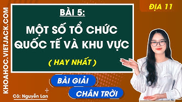 Địa lí 11 Bài 5: Một số tổ chức quốc tế và khu vực | Chân trời sáng tạo (HAY NHẤT)