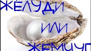"Жёлуди или ЖЕМЧУГ" 26 серия от Совета праведных. "Жёлуди или ЖЕМЧУГ" 26 серия от Совета праведных.
