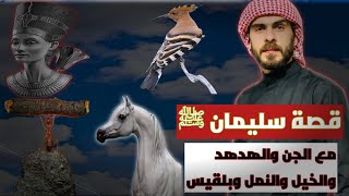 قصة سيدنا سليمان كاملة معجزاته كاملة واروع القصص التي وردت في حياته