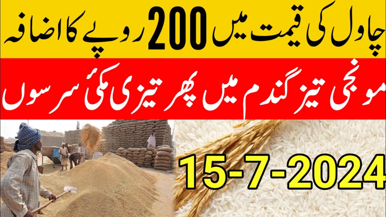 munji rate today/new gandam rate today/wheat price today in punjab ...