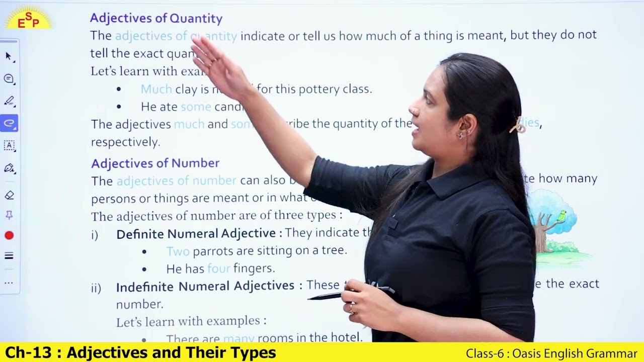Ch 13 Adjectives and Their Types