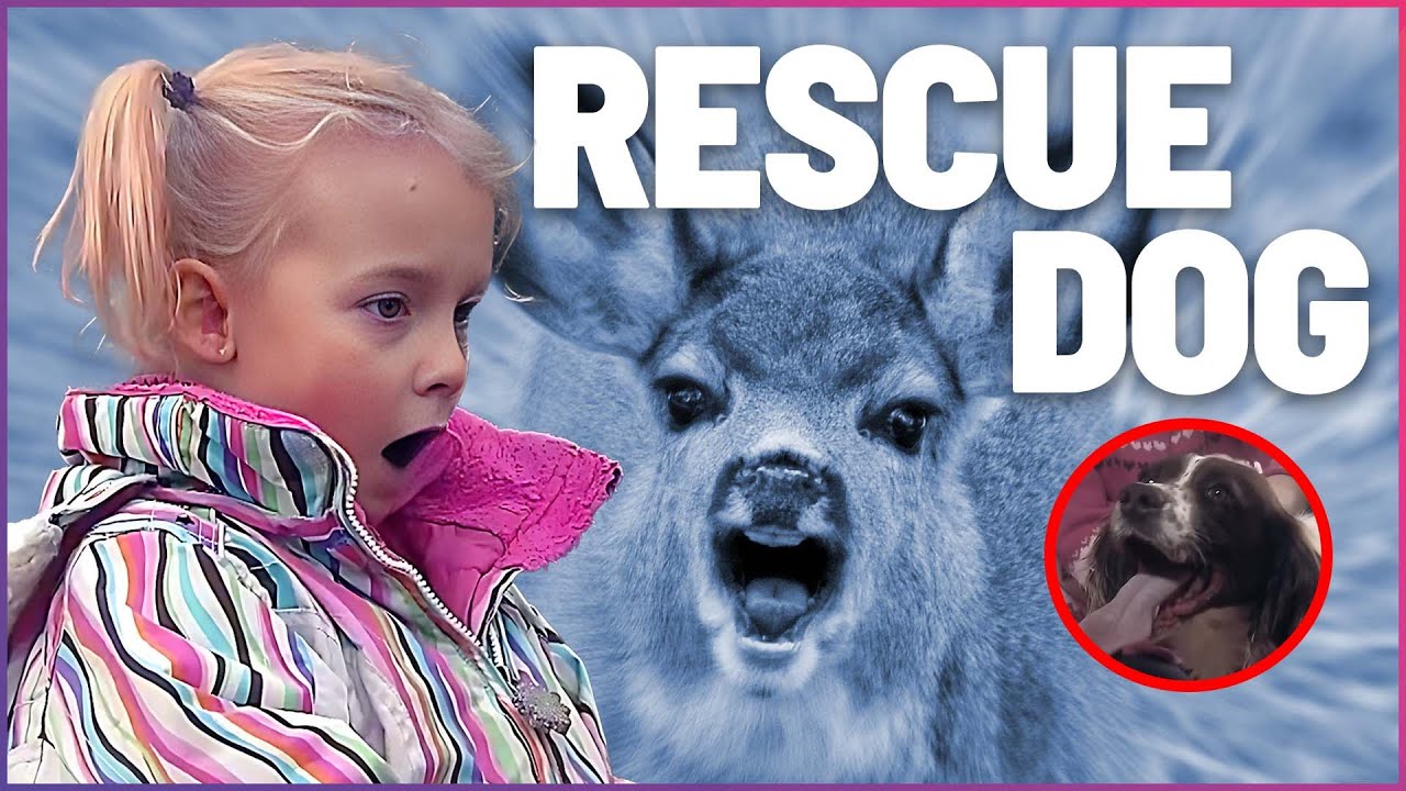 Dog Protects Young Girl In Extreme Danger