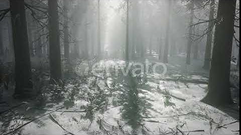 Winter Snow-covered Forest on a Cloudy Day | Motion Graphics - Envato elements