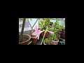 Rain Water Harvesting | Best Method Explained