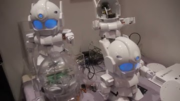 Rapiro, Arduino Raspberry Pi powered humanoid robot kit