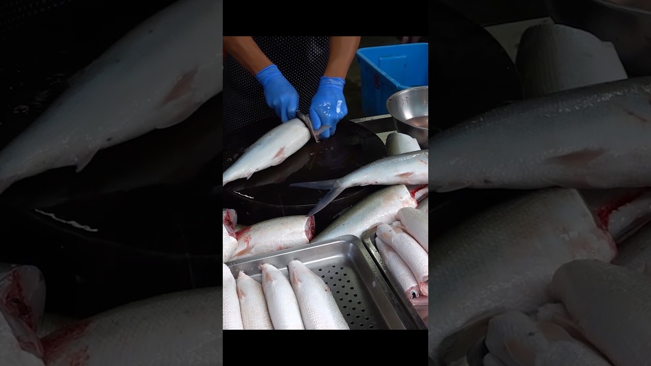 Most Satisfying Milkfish Cutting Skills in Taiwan!