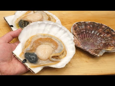 ホタテ貝のさばき方と刺身に貝焼きの作り方