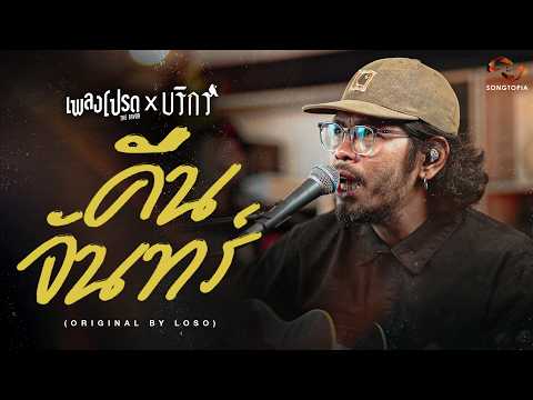 คืนจันทร์ - บริกร (Original by LOSO) | เพลงโปรด