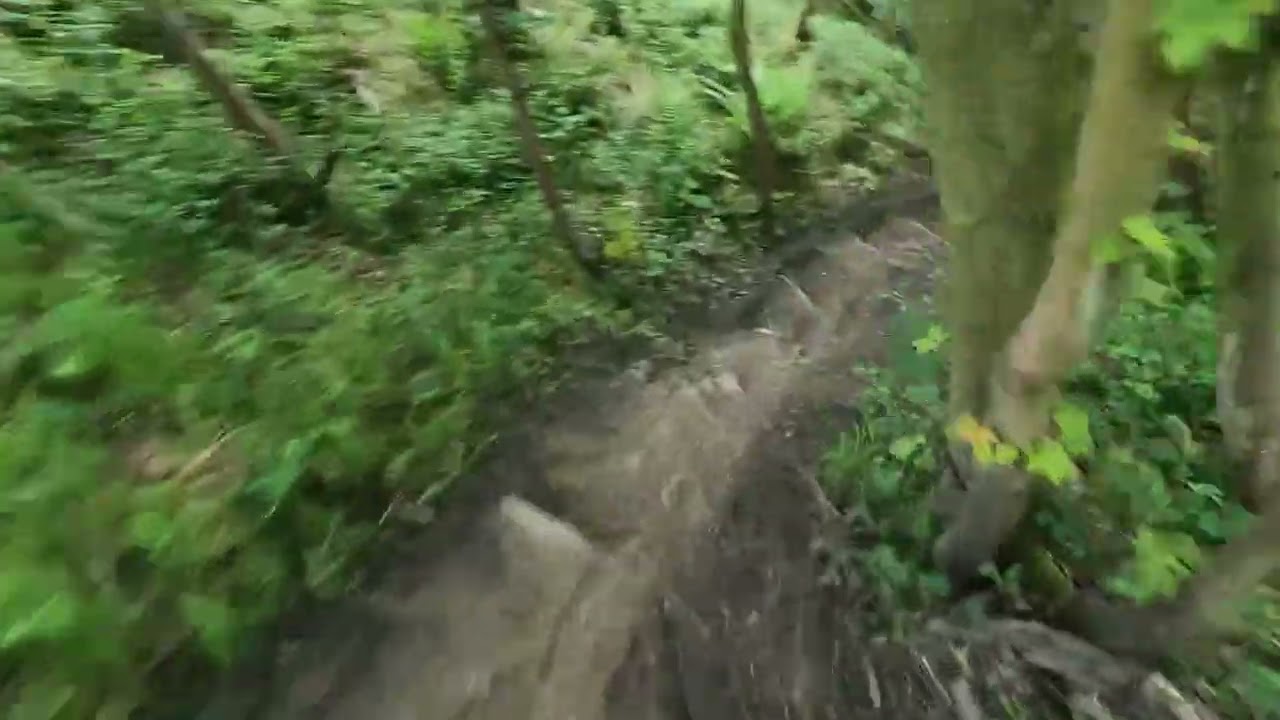 Mtb Deepcar end wharncliffe