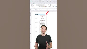 PDF Dateien in Excel einfügen 😱 #excel #karriere #lernen