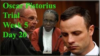 Oscar Pistorius Trial: Thursday 10 April 2014, Session 2
