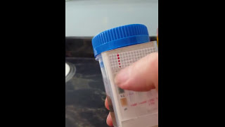 Synthetic Urine Review