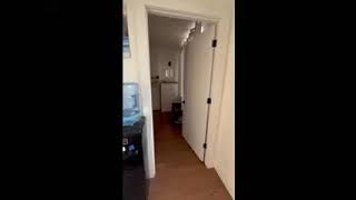 323 east 19th st #7b