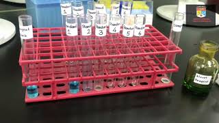 Practical: Spectrophotometry Hands On Demo