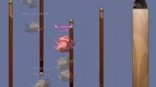 Transformice - Guigaaoh & Luctl na Racing